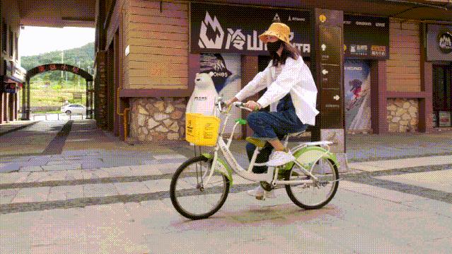 白山10月旅游攻略自助游线路,五一白山周边2-3天短途旅游