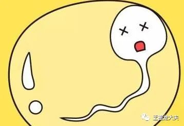 一篇文章让你秒懂精液分析报告单