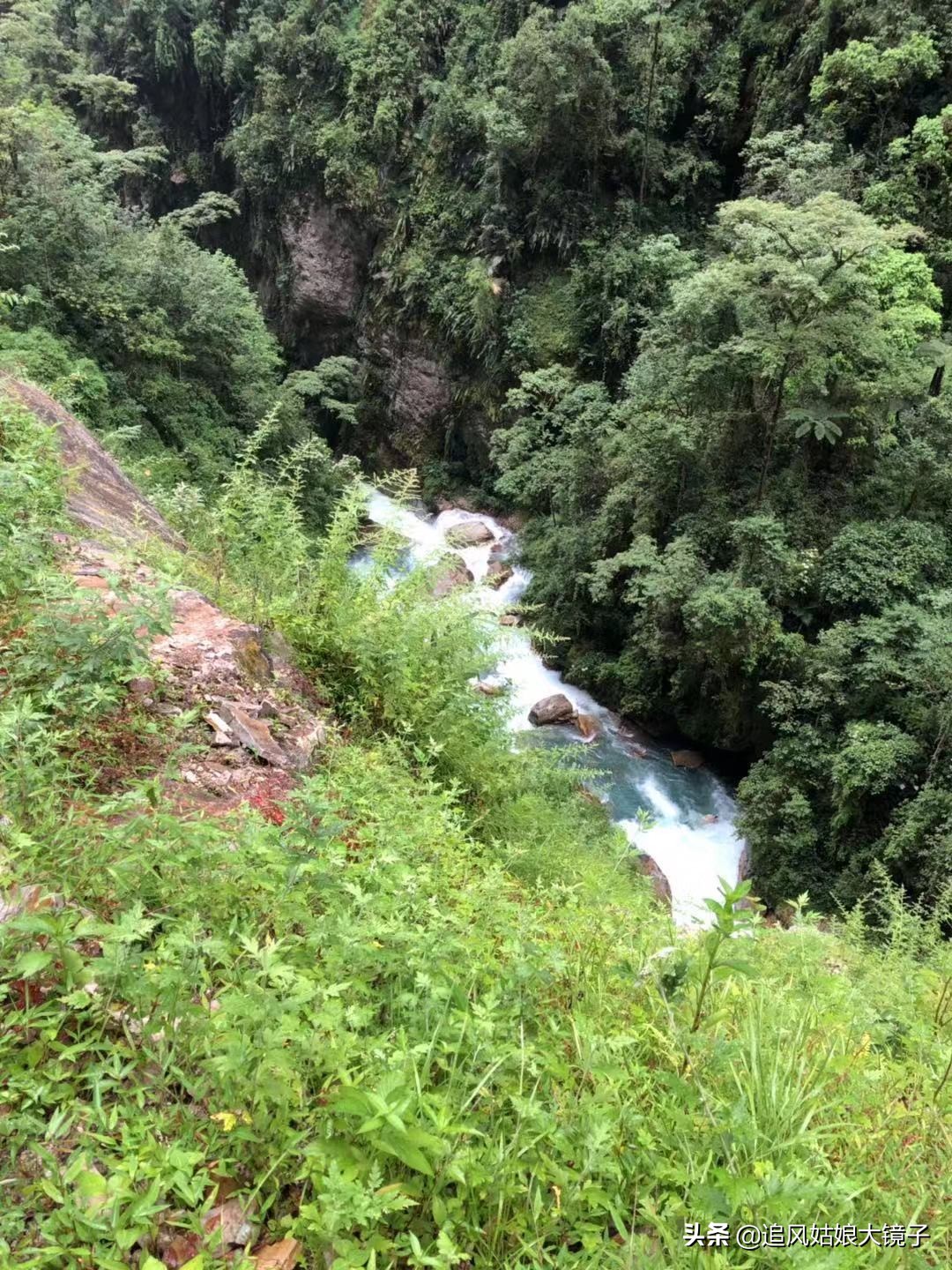 穿越原始的森林,穿越原始森林巨大蜈蚣