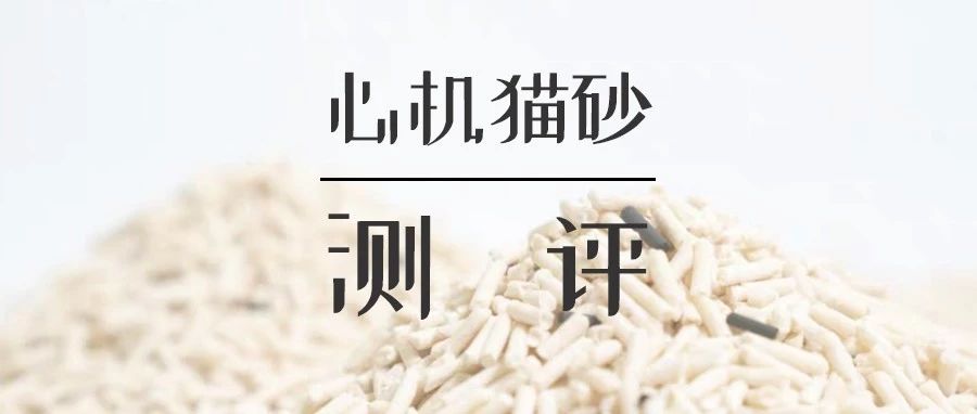 什么牌子的豆腐猫砂除臭好,强力除臭猫砂测评