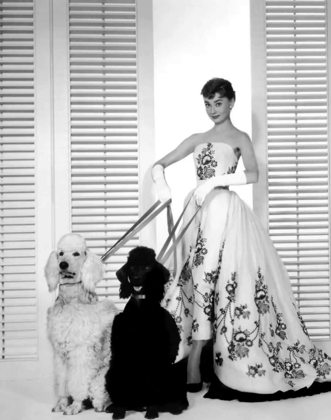 纪梵希四宫格散粉新款,2015纪梵希李宇春秀场