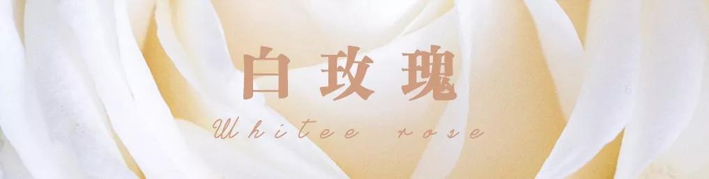 一篇文章带你认识三亚40种花,鲜花图鉴一次性认识30种玫瑰花