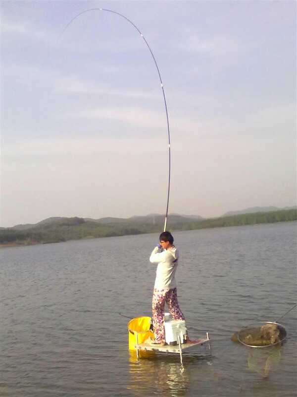 饵料测试,饵料与小药的搭配