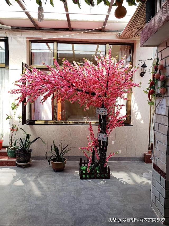 怀柔六十七号民族餐厅,怀柔白河湾农家院垂钓