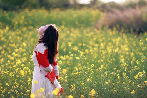 药食同源农产品,同源沙棘功效与作用