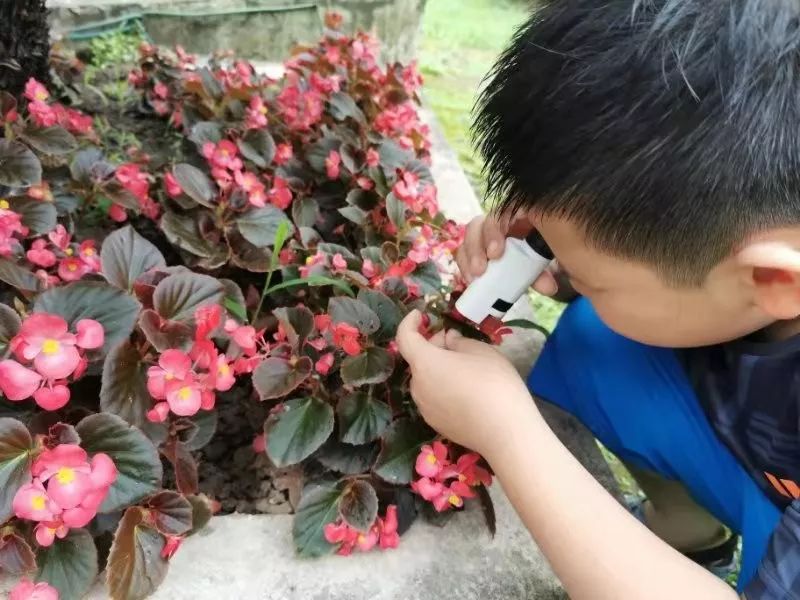 能放大1万亿倍的显微镜,只有一个长筒目镜的显微镜