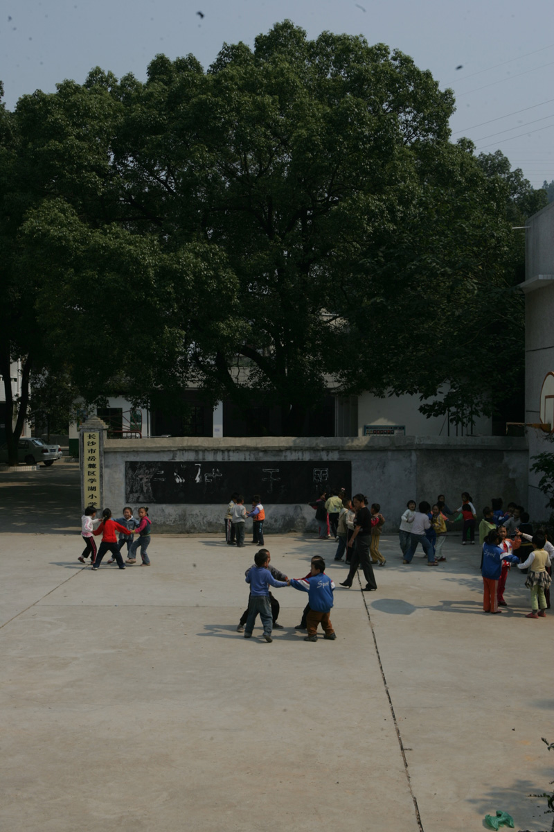 梅溪湖的葡萄园,梅溪湖有没有葡萄园