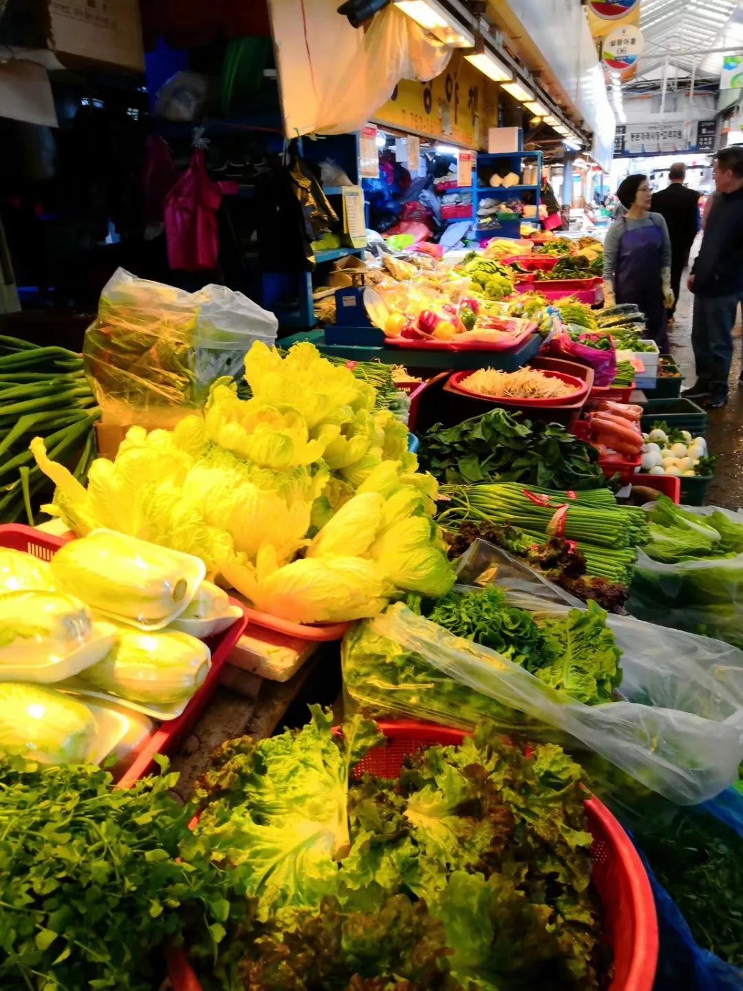 在济州岛发呆的日子,济州岛散心
