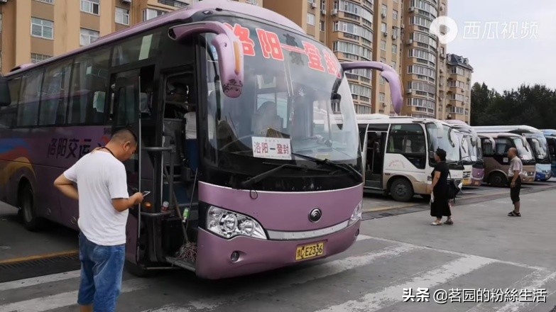 洛阳古都氛围感视频,洛阳古都风情介绍