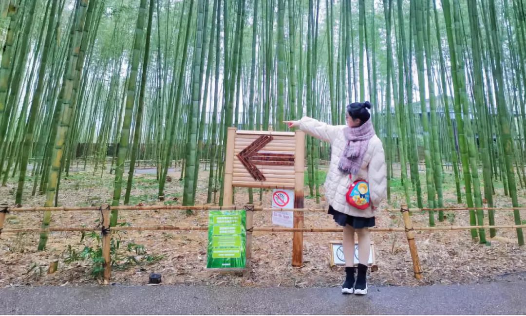 王思聪和李易峰关系有多好,王思聪和李易峰的区别