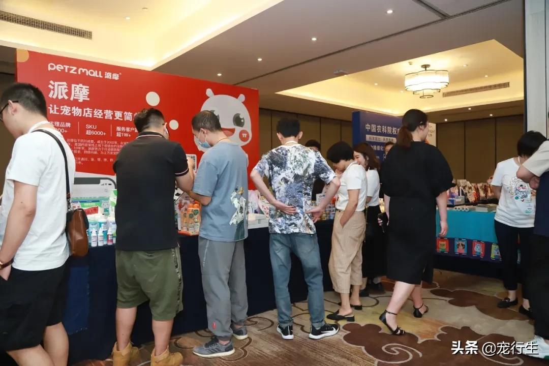 宠行生携手长城研习院开展线下课堂