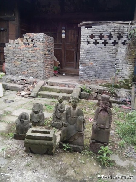 林森完整版免费观看,林森完整视频