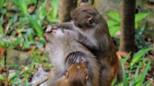 去湖南张家界旅游攻略,长沙张家界凤凰古城四天三晚攻略