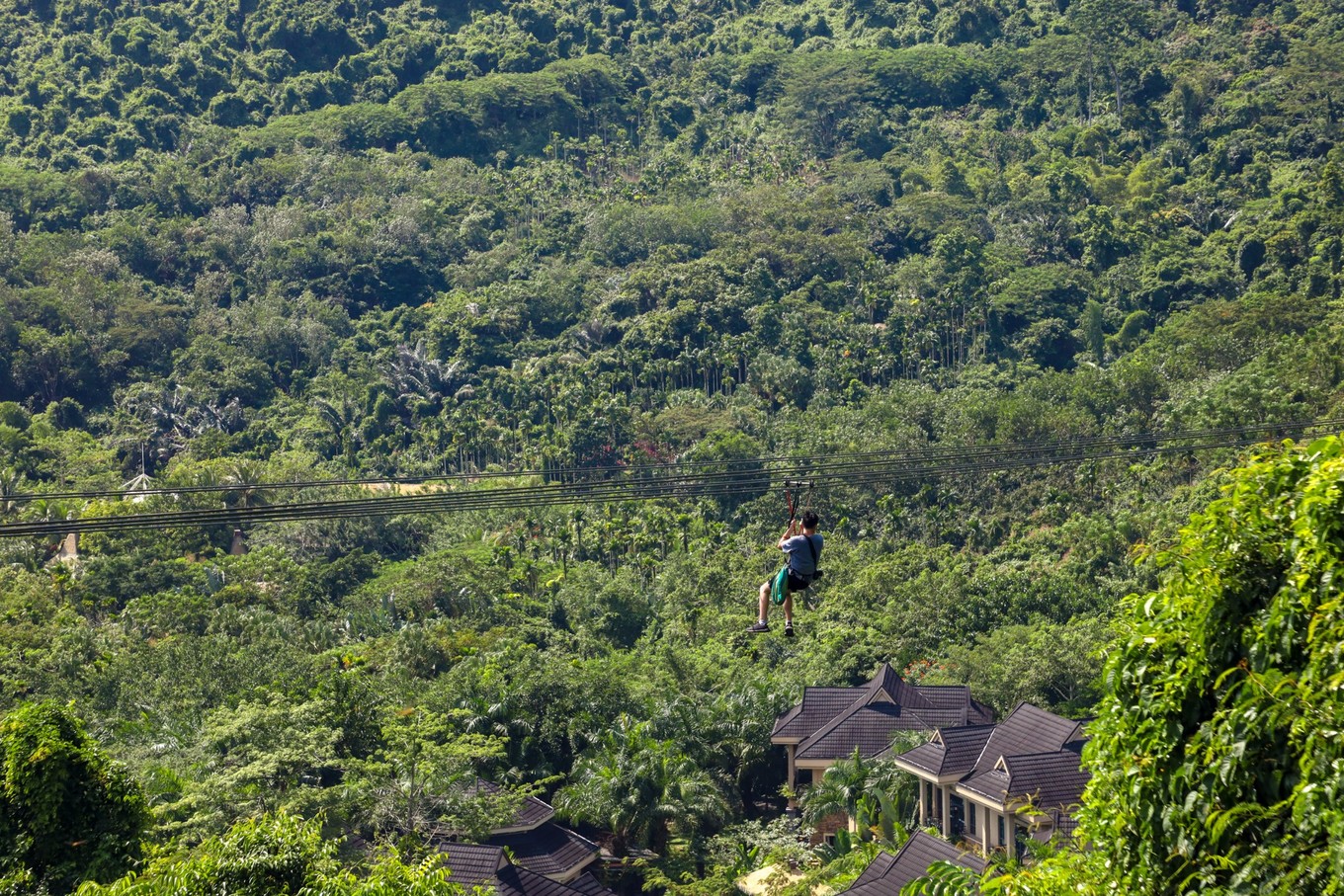 呀诺达雨林探险是什么,三亚呀诺达雨林正规吗