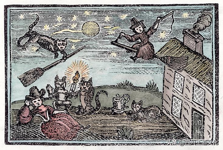 猫的故事,猫的故事视频