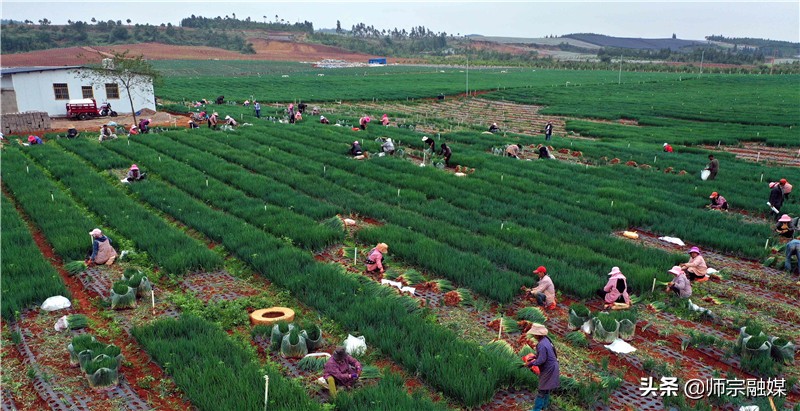 麻栗坡社区居民的贴心人,村民的贴心人原唱