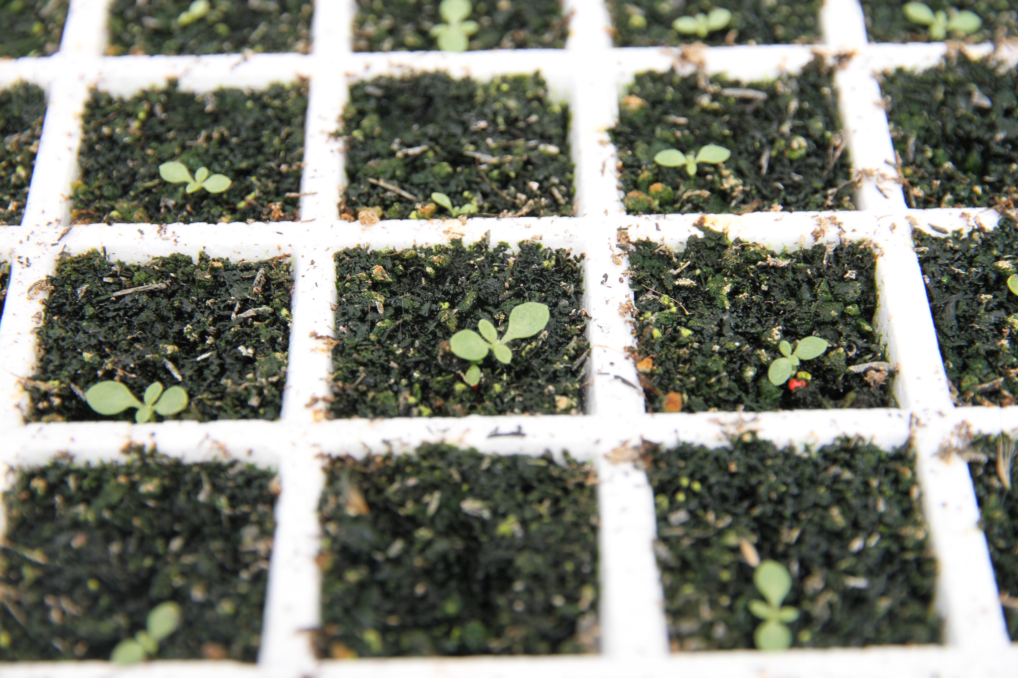 贵阳市开阳县*草烟**专卖局（分公司）奋进在高质量发展的新征程！