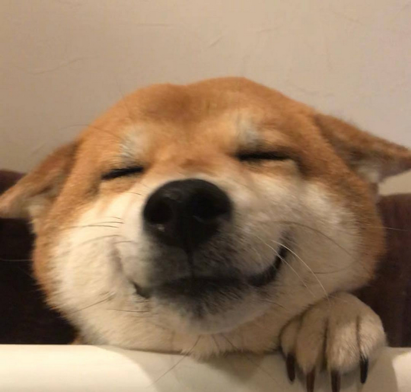 新macbook正式开售,万元笔记本mac