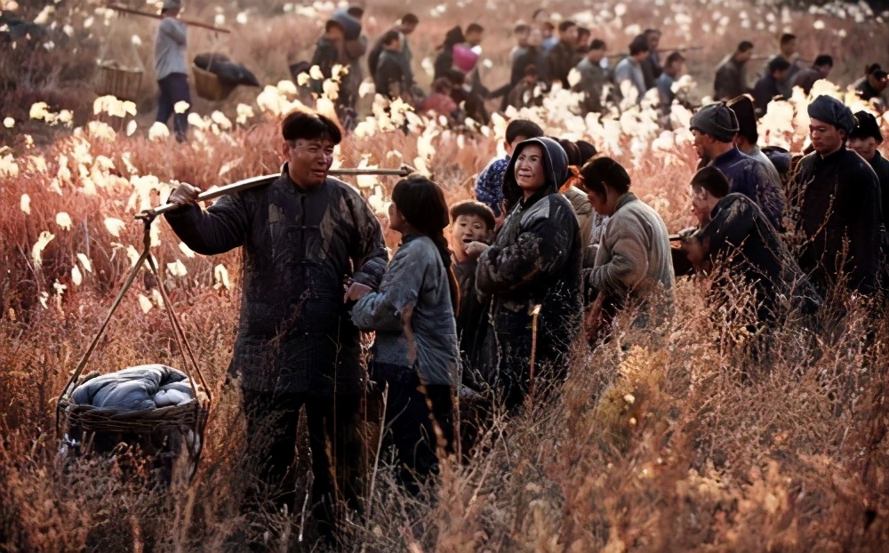 （六十二）卷毛也是个苦命的女人