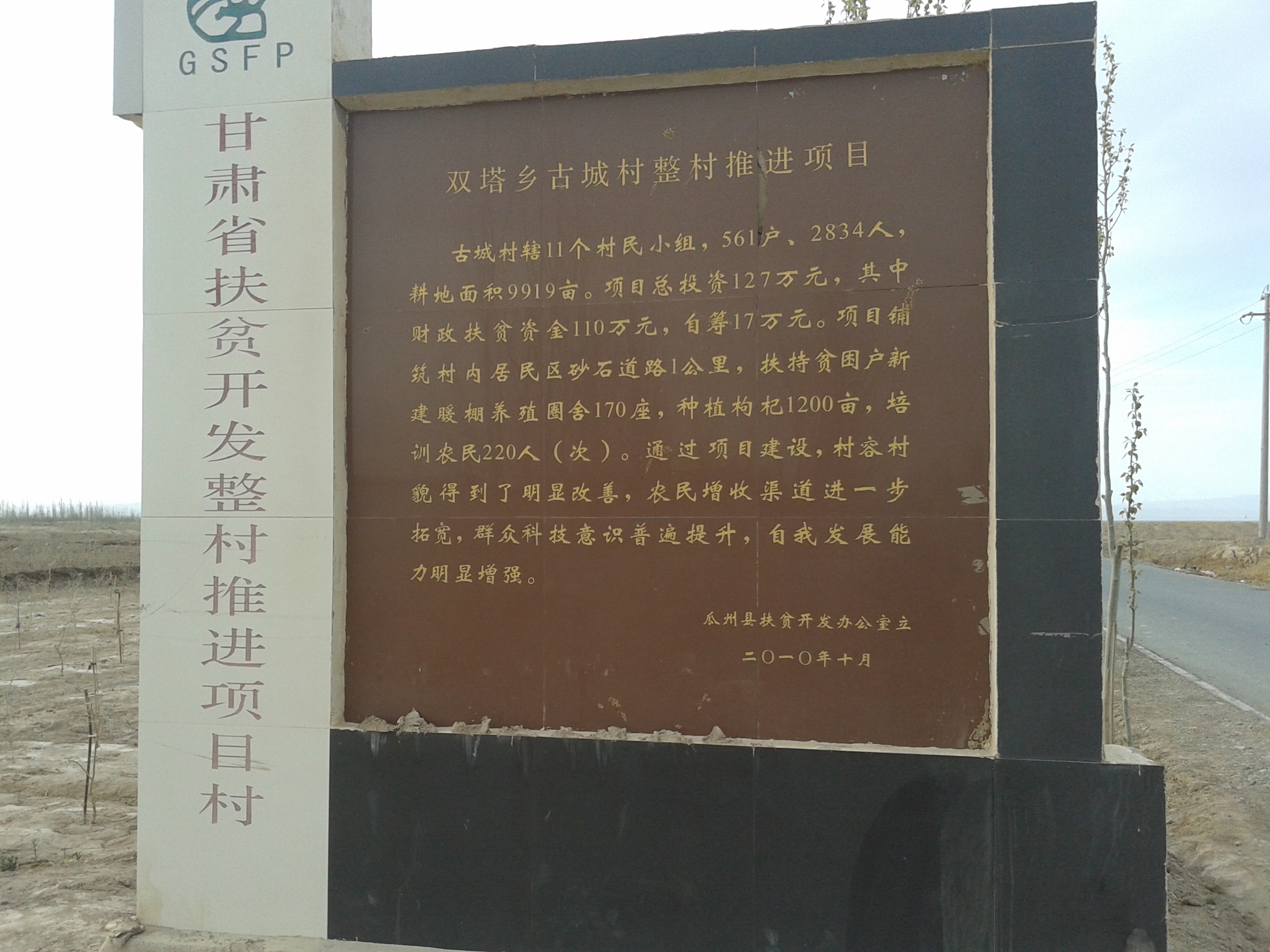 乡村振兴致富带头人政策作用,新农村致富好项目