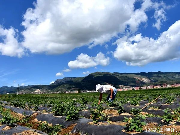 鎵嬪伐閲戜笣鐨囪強鍒朵綔,鑿婅姳鎵嬪伐閲戜笣鐨囪強