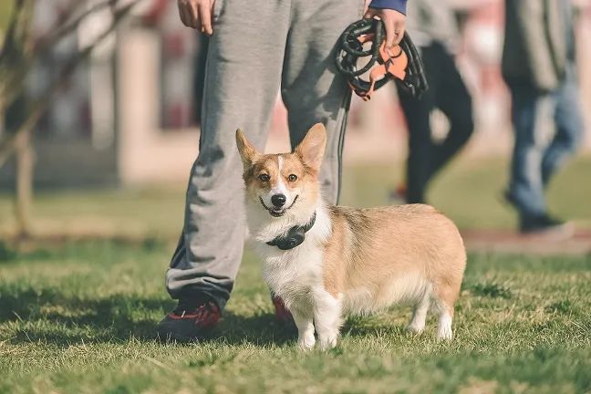 顺义适合露营的郊野公园,你自己知道就行