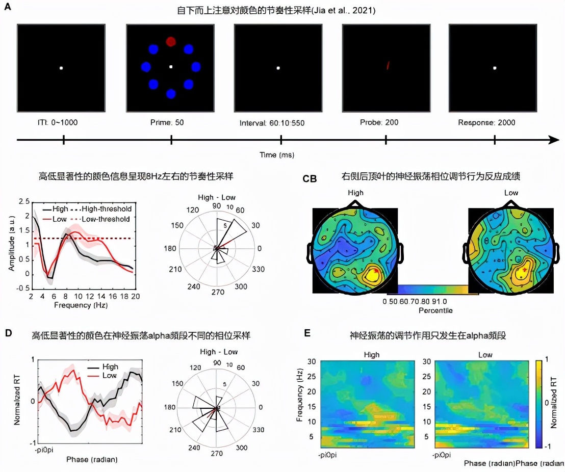 脑科学日报完整版,脑科学疗法