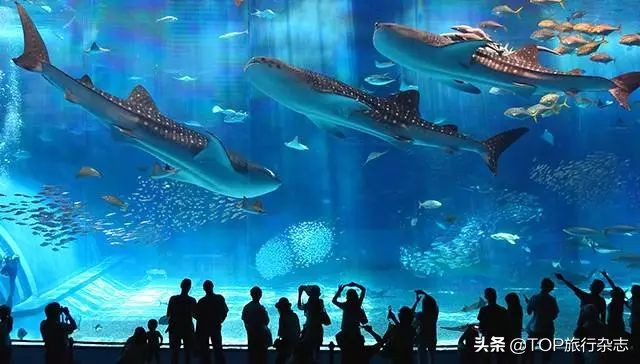 从哪里直飞尼泊尔,长沙飞尼泊尔攻略