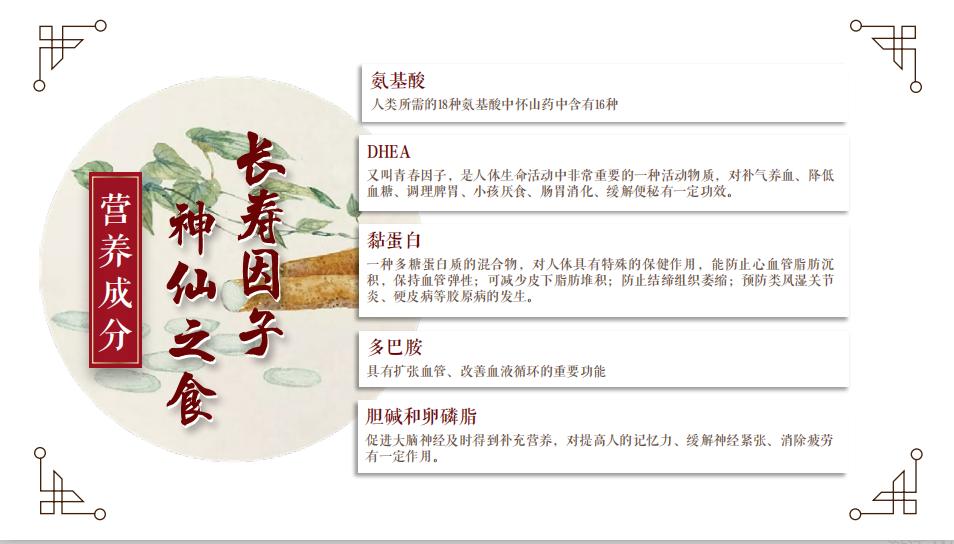 山中贵族：实地考察“神仙之食”产地？资深吃货也瞬间被征服