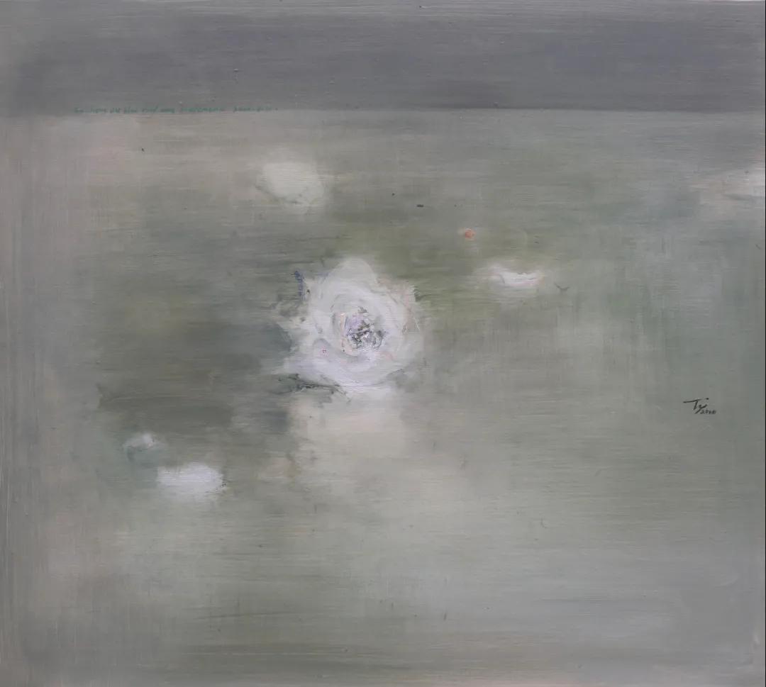 无解谜团,未解之谜合集