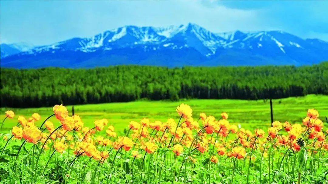 张曜的幕僚萧雄：纵横二万里，豪情满天山