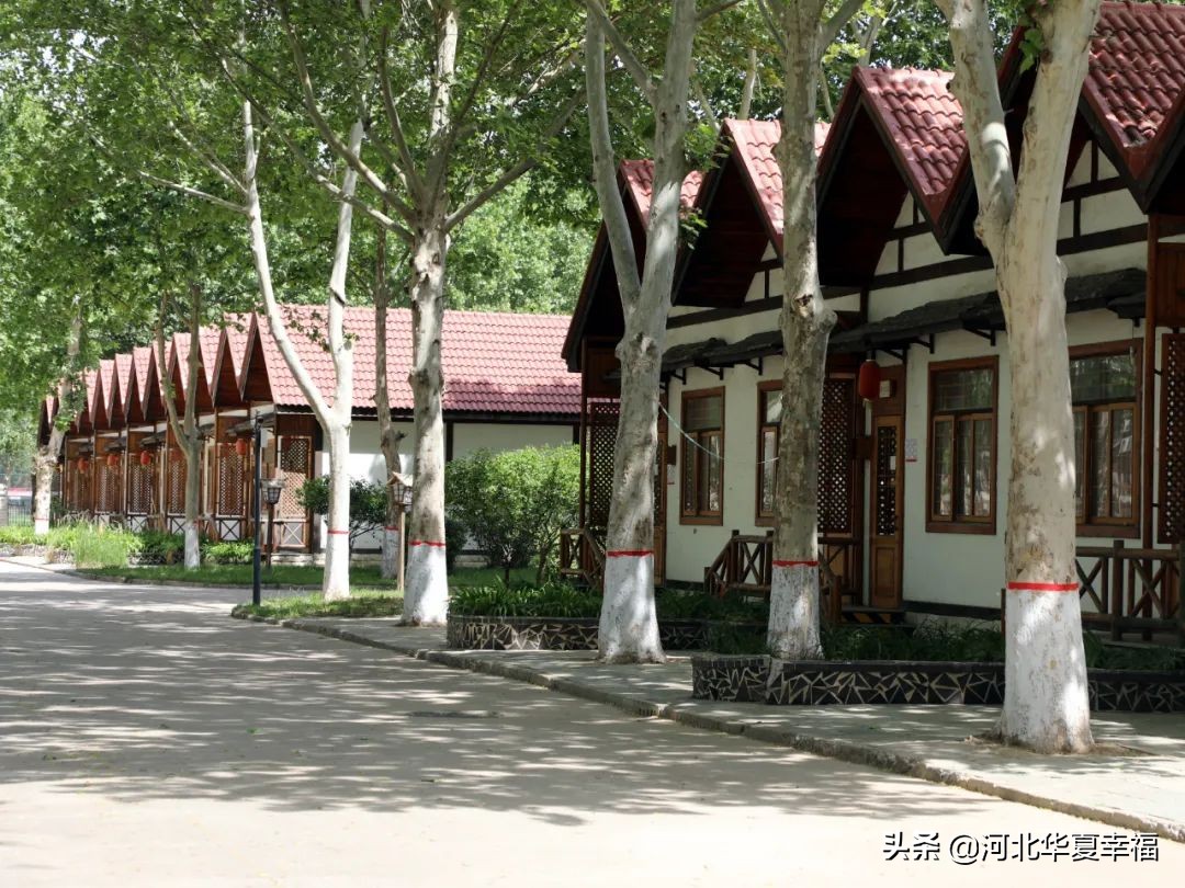 幸福预备队,河北幸福足球俱乐部u19