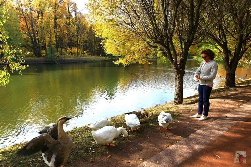 俄罗斯顶级奢华地方,绝美的风景俄罗斯