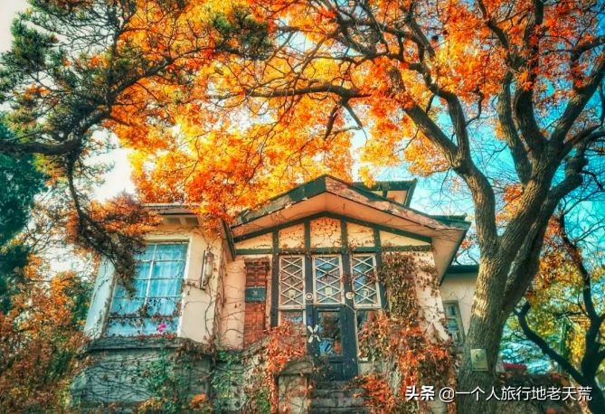 厦门海滨老城旅游,厦门最美海滨城