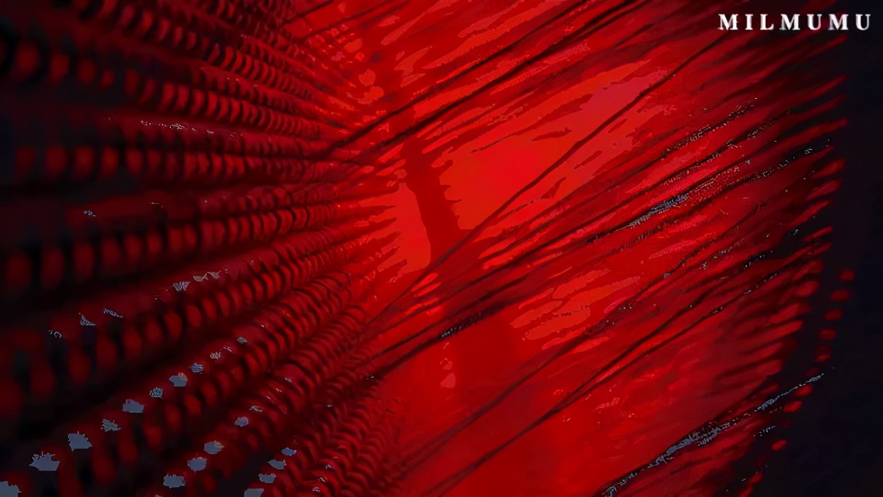 北极熊加绒保暖衣,冬季保暖衣推荐加绒北极绒