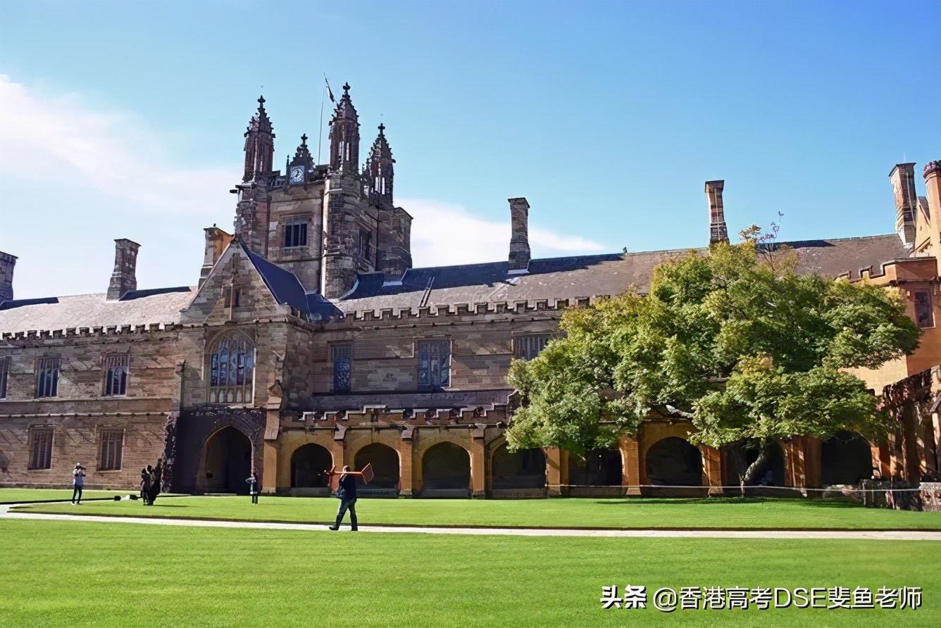 鲸帆dse国际,鲸帆dse国际学校创作人