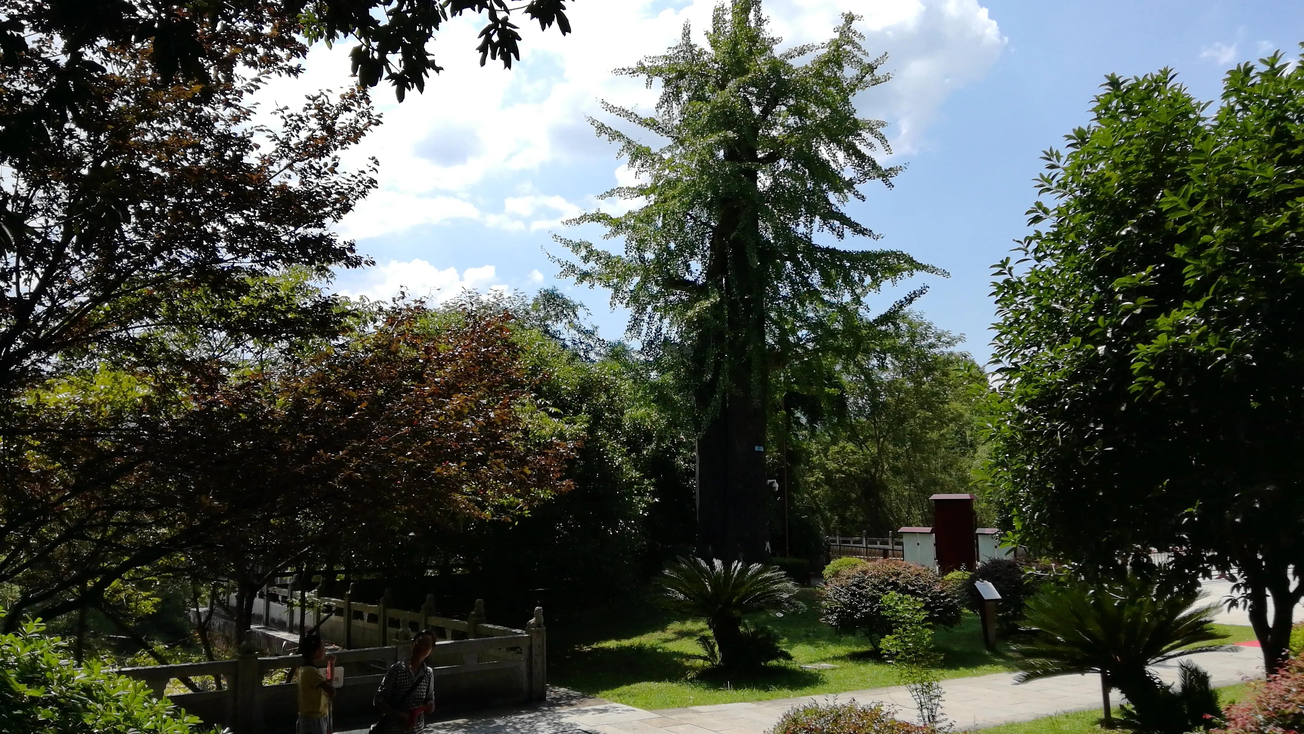 湖南株洲炎陵县，“神州第一陵”炎帝陵，全球华人精神家园（一）