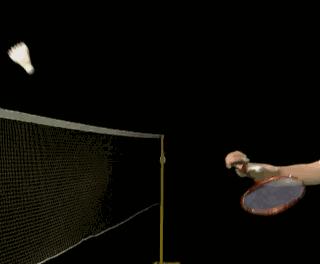 金秋诗画（学羽精华33.发力技巧）