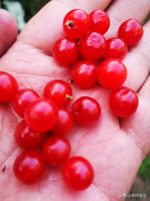 沈阳周边自然风光一日游的地方,沈阳隐秘的地方