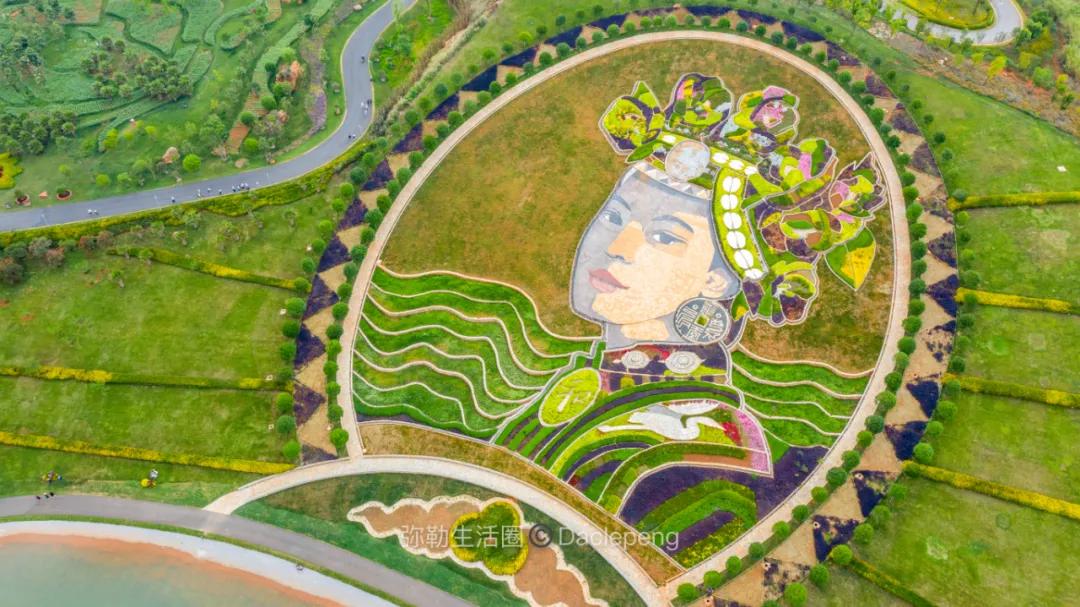 云南最美小镇图片,云南太平湖森林公园花海