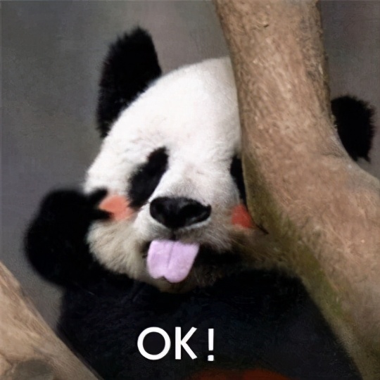 老化毛孔粗大能收缩回去吗,挤完黑头毛孔粗大能缩回去吗