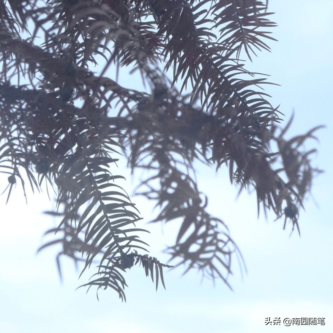 世界尽头与冷酷仙境书籍,书籍的力量名言名句