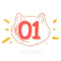 干货|最强开WIFI指南！没有网络该怎么活