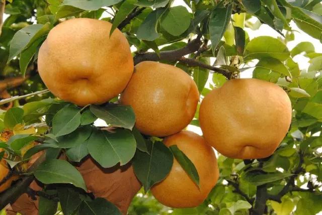 疫情过后一起去吃遍美食,疫情中的美食攻略