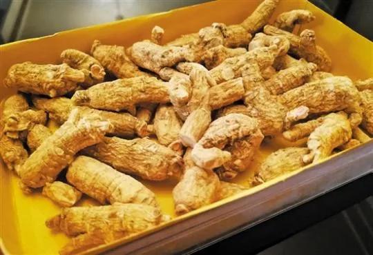 人参西洋参怎么吃效果最好,人参西洋参怎么炖汤