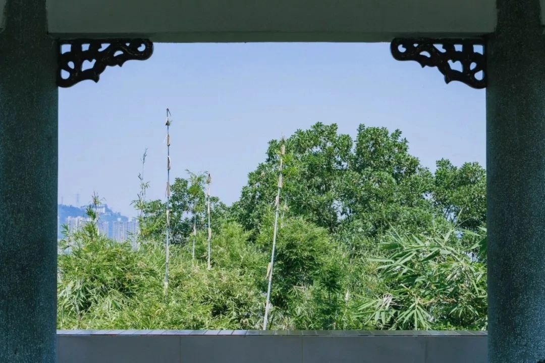 深圳3号线有哪些可以玩的,深圳7号线攻略