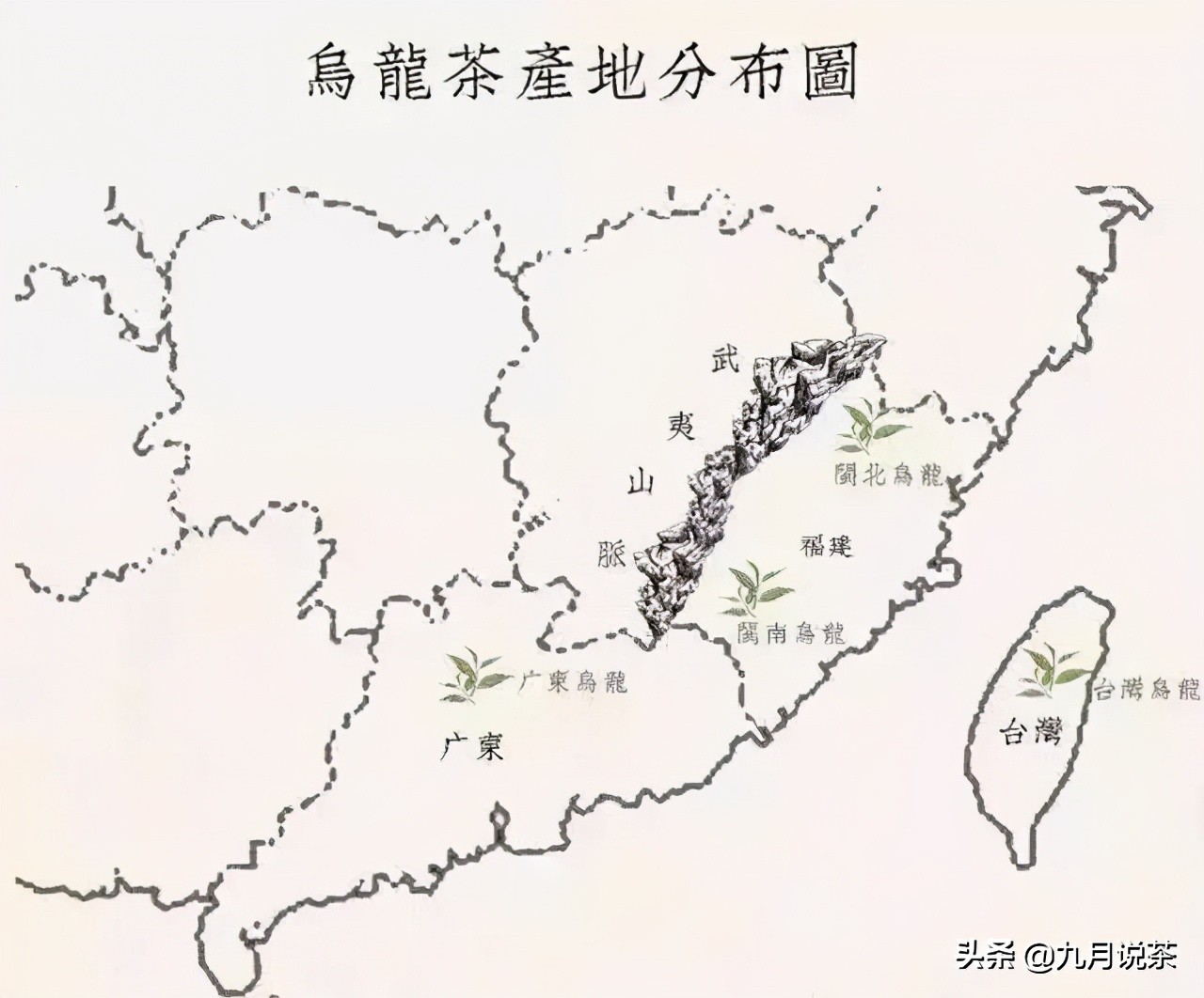 5分钟读懂白茶,5分钟看懂茶文化