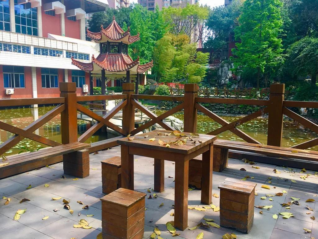 重庆一中与巴蜀中学哪个好,重庆一中全校前十名