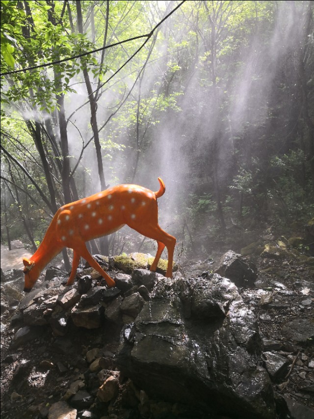 十七渡景区房山,十渡仙西山水洞寨风景区民宿