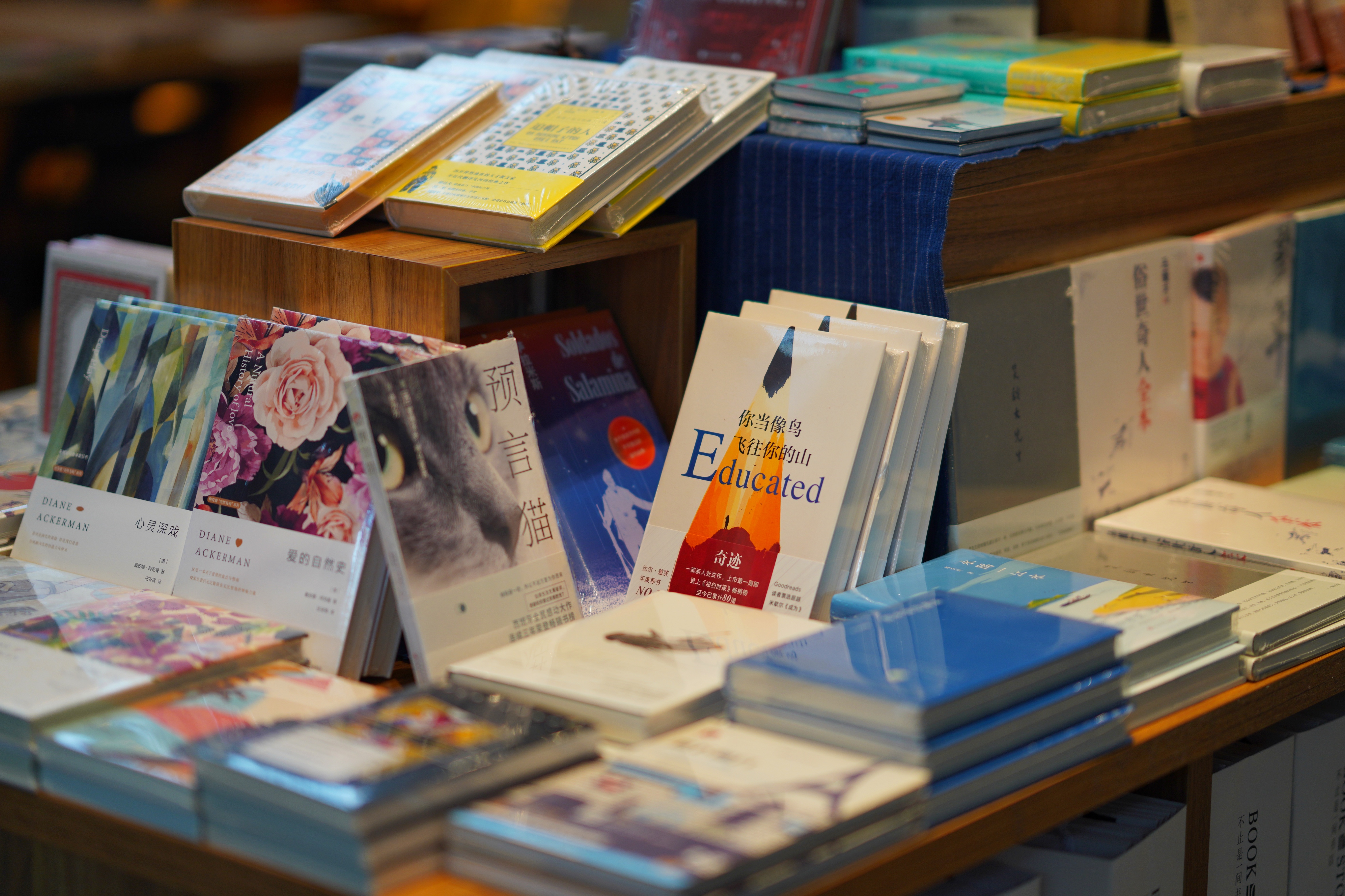 苏州特色民宿推荐,苏州最有特色民宿推荐